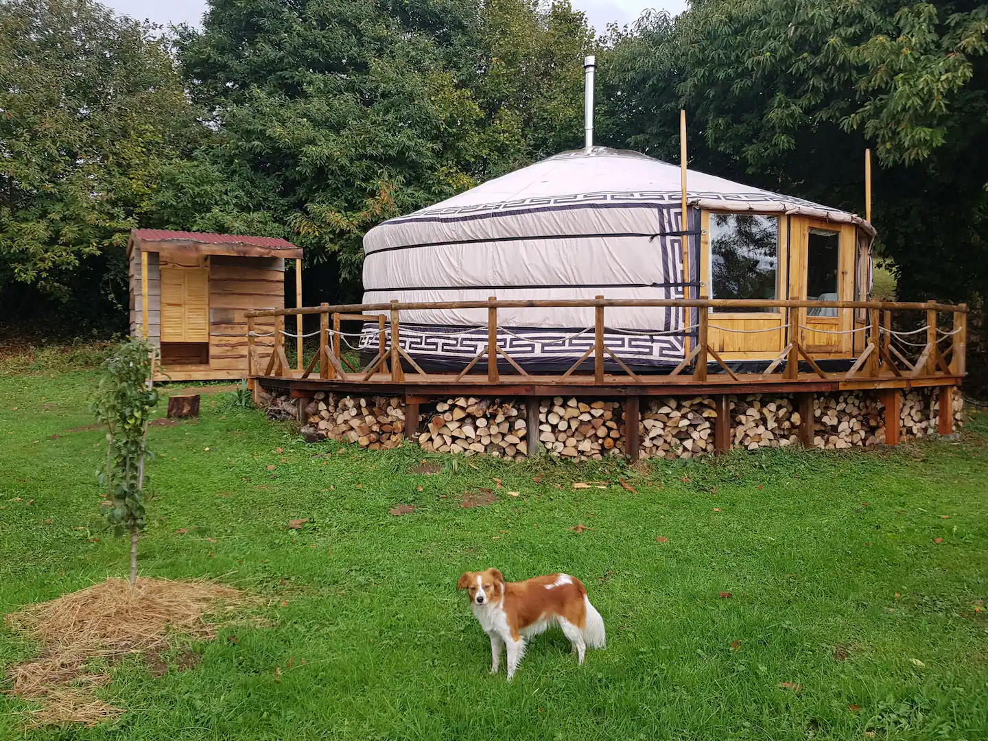 Everything about purchasing a yurt in Europe Everything about purchasing a yurt in Europe